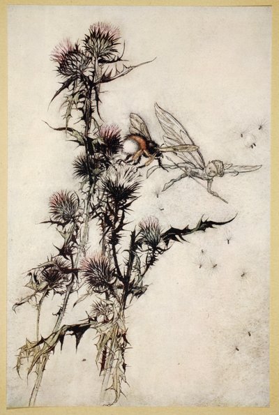 Kill me a red-hipped humble-bee on the top of a thistle, illustration from 
